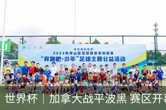世界杯｜加拿大战平波黑 赛区开幕式表演“翻车”