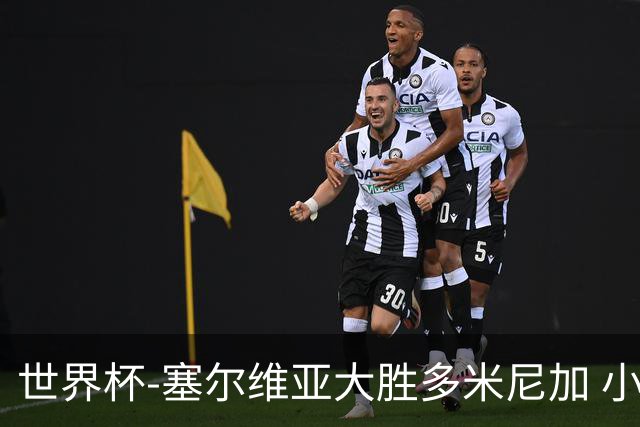 世界杯-塞尔维亚大胜多米尼加 小组第二进八强