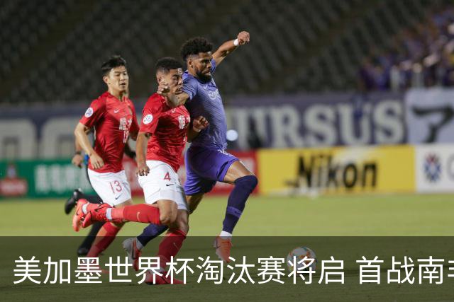 美加墨世界杯淘汰赛将启 首战南非对阵加拿大